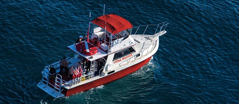 Captain Sl8tr & Little Deeper Charters: New Ownership, Rebranding