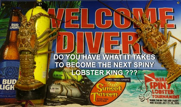 Miami Spiny Lobster Tournament 2017